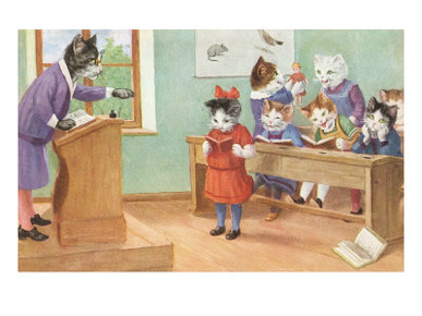 Cats in School