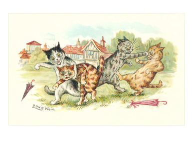 Cats in Playground Fight