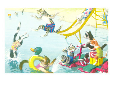 Cats Sliding into Swimming Pool