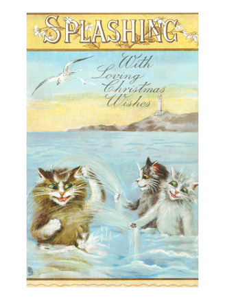 Wicked Cats Splashing